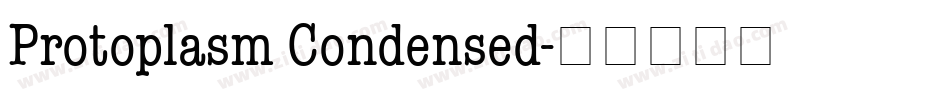 Protoplasm Condensed字体转换